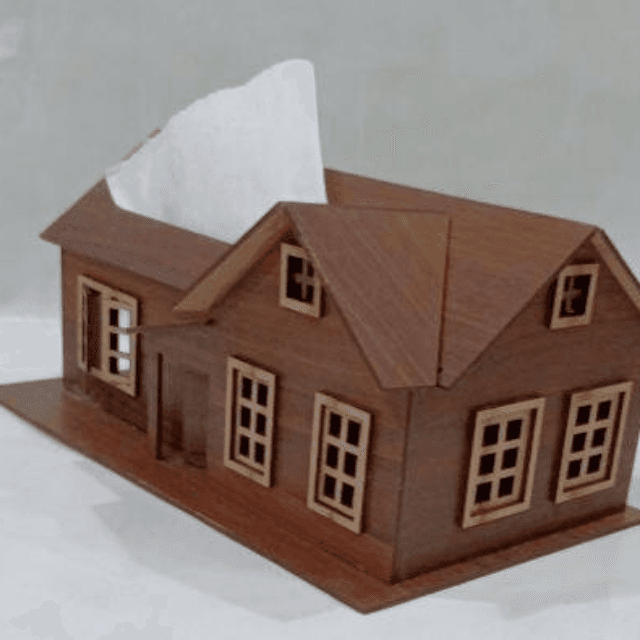 House Shape Tissue Box